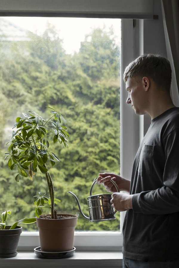 Plantes - Assurance qualité de vie intérieure Jeune homme arrosant des plantes d’intérieur, contribuant à l’amélioration de la qualité de l’air domestique
